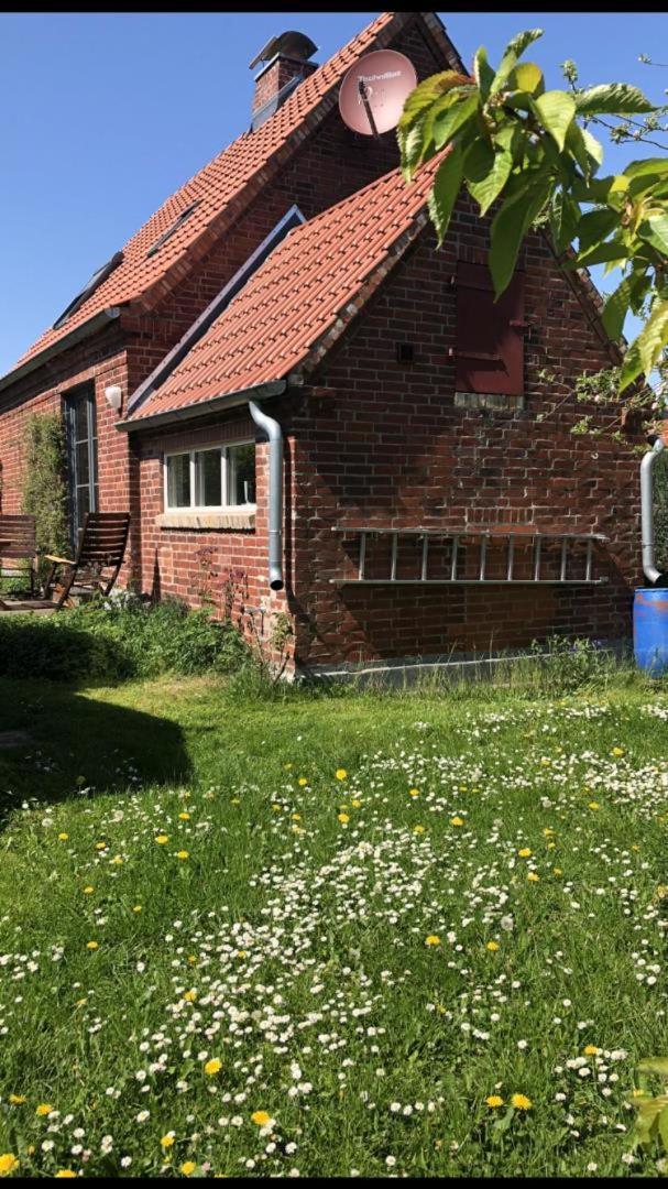 Neu! Ferienhaus Mit Naturgarten Gleschendorf Exterior foto